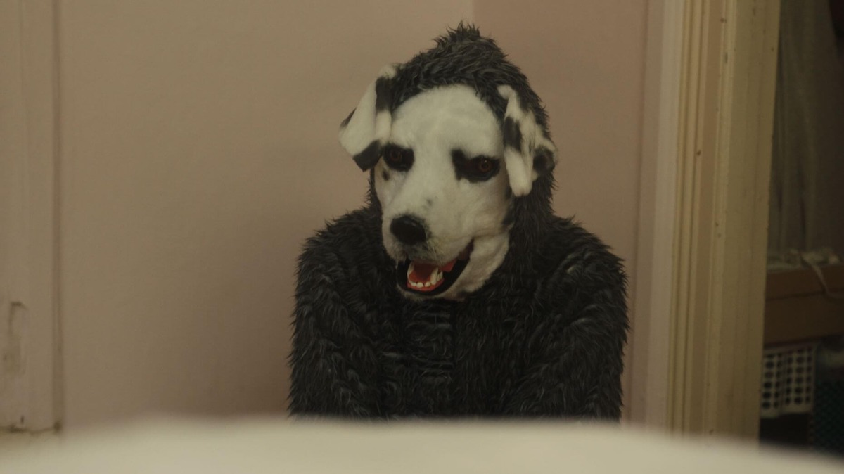 Zdjęcie; Człowiek w stroju biało-szarego psa na tle białej ściany